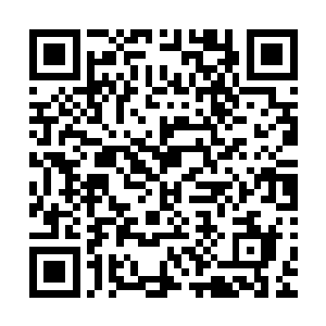 大概能组建出这个其实小小起伏的山丘上整体格局是怎么样的二维码生成