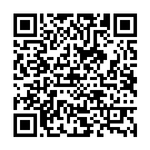 大殿中响彻着尖锐的厉叫声和躯体被轰击的闷响声二维码生成