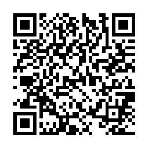 大殿冰冷的地砖上摆放着一具具他并不陌生的尸体二维码生成