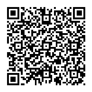 大牌明星们都像是脑残一样献上自己所能奉献的一切……好莱坞可以成为智障集中营了二维码生成