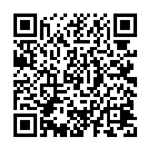 大犀牛爷爷也不怕苏落会将火龙珠这至宝给抢走二维码生成