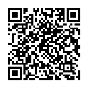 大红和魏厨子各挡住了一最先冲上来的山精野怪最多的两面二维码生成