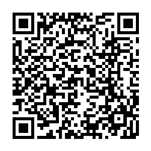 大约十五六岁的少年把用来遮挡寒风和灰尘的棉布围巾又往鼻梁上提了提二维码生成