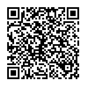 大约是那位不幸在天劫中陨落了的天才宗主苏澈首创的一种攻击法术二维码生成