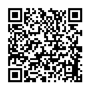 大约消耗了五颗珠子就把流墨墨的身体修复完好了二维码生成