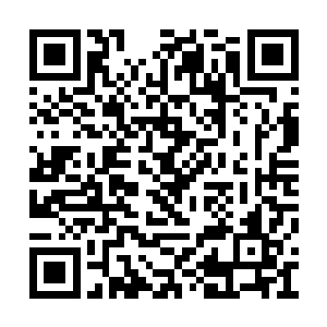 大罗金仙境界后期的完全可以抵得上天尊境界了二维码生成