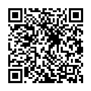 大罗金仙赠与的储存了仙术的手链本身就是个不合常理的大杀器二维码生成