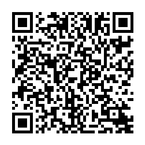 大老远就看见原本懒懒散散躺在草地上睡懒觉的土蛇王此刻高昂着脑袋二维码生成
