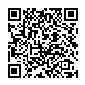 大菲尔一定是在向谢特拉解释为什么他会宁肯选择卡卡二维码生成