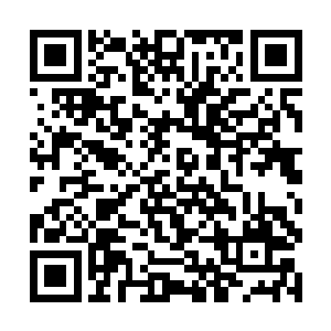 大量的死亡和这个地方唯美的环境形成了强烈的区别二维码生成