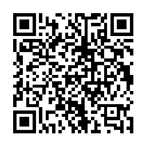 大长老和家主的威望在雷家显然是凌驾于众多长老之上二维码生成