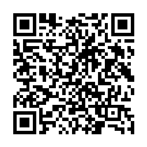 大长老心中已经下定决心这次绝对不能够放杨戬几个人离开二维码生成
