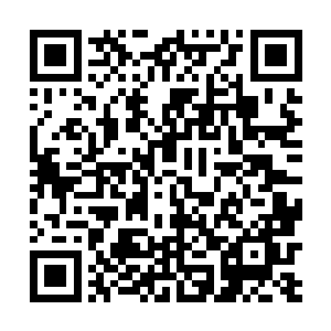 天哥……孔立死了……刚才敲门的是警察……呜呜……二维码生成