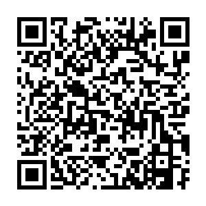 天娱商会宣传的那些东西显然根本就无法完全囊括所有的拍卖物品二维码生成