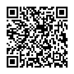 天字第一号路盲欢喜哥和天字第二号路盲韦斯特完全的迷路了二维码生成
