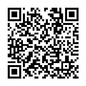 天尊期修士和地尊后期以上的修士都已经在之前过桥了二维码生成