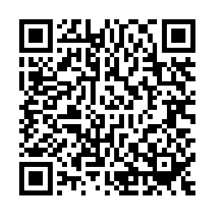 天数和黛丽丝不由地想象着刚才这里经过了一场什么样的战斗二维码生成