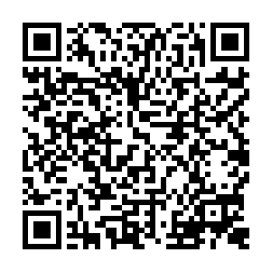天知道那些虱子会不会爬出王安石的衣服然后再爬过那个矮几来到自己的身上二维码生成