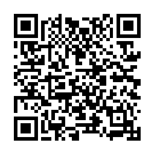 天罡焚帝等众多绝顶天帝一个个绽放出他们的气息二维码生成