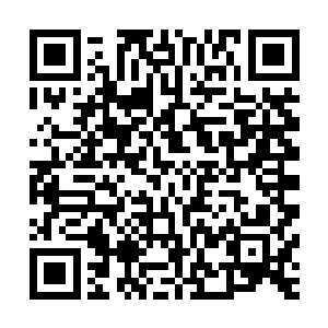 天脉上界正是天脉域的真正主宰天脉域上宗天脉宫的宗门所在二维码生成