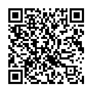 天隐宗的五长老也说过矮人族猛犸族还有火离族是同盟关系二维码生成