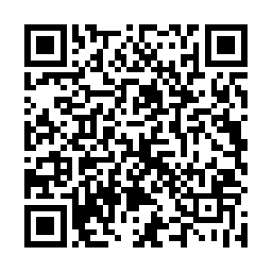 太初神殿的器灵当初也不可能用一张替死符救下自己了二维码生成