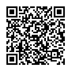 太玄子前辈将太玄珠交给在下之后就已经彻底的消散了二维码生成