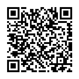 失去了任何声音――赤红牧首单方面地截断了通话二维码生成