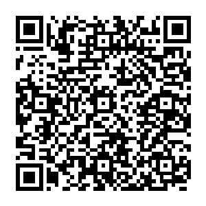 失去了自己滑翔机的塞尔内斯之鹰为什么会第一时间就想到要来这里借一架滑翔机呢二维码生成
