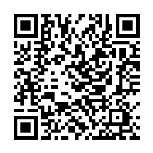 头脑简单的他很快忘记自己之前被墨族王主们欺负的事二维码生成