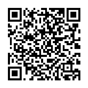 头部容易撞击的部位亦分布着大大小小的十几根锥刺二维码生成