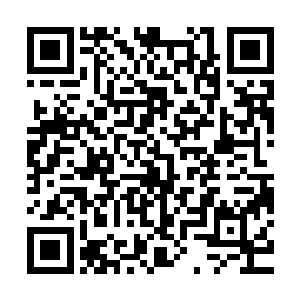 奇特的好像是由那色彩多变的巨大物质编织构造而成的庞大卵形二维码生成