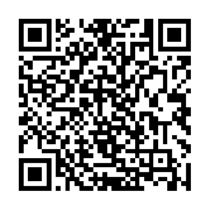 契约在这里是完全失效的――因为神识被封闭的原因二维码生成