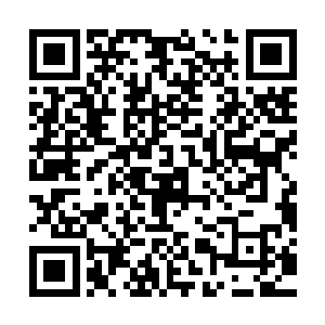 女主角蒙嘉慧换成了一个张东城做梦都没想到的角色――林志玲二维码生成