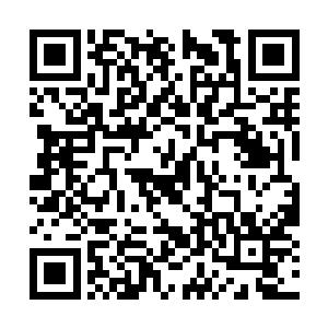 女人用匕首轻轻的拨弄了一下那指甲盖大小的芯片二维码生成