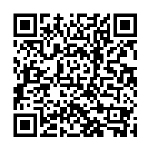 女大堂经理的这一回答让得李师傅的表情变得激动起来二维码生成