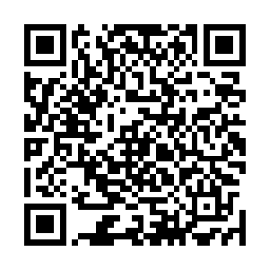 她不相信一个可以把这么多钱捐出去做善款的人会如此简单二维码生成