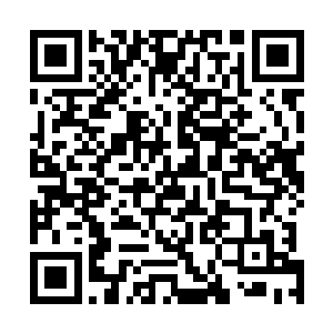 她不顾俞侬侬发挽留和表示可以送她到想去的地方的意思二维码生成