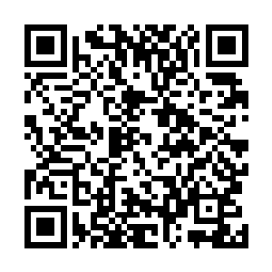 她也有点吃不下去啊――妮娜陛下什么时候受过这种罪啊二维码生成