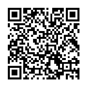 她从云龙口中以及雷雀族族长的口中得知沈凡的背景很不简单二维码生成