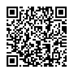 她从窗户的位置上正好看到对面墙壁上的电视里正播放地方新闻二维码生成