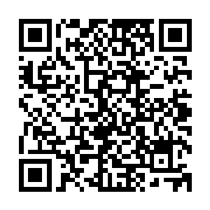 她们与其这么漫无目的的在这些巨人的族群聚集地慢慢的寻找二维码生成