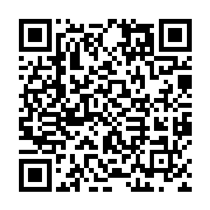 她们便也发隅了不比这些男生们气势差的欢呼声呐喊声二维码生成