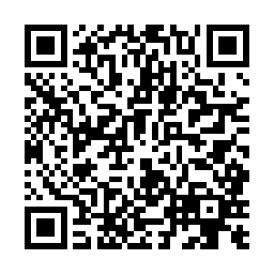 她们在这次参演的过程中表现出了一些宝贵的相同特质二维码生成