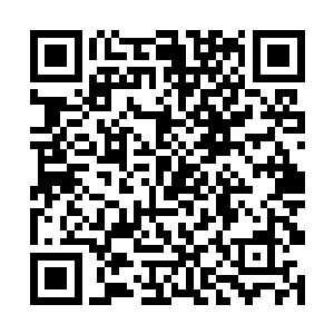 她们拿下了儒帝和几百万三族军队证明了他们的忠诚二维码生成