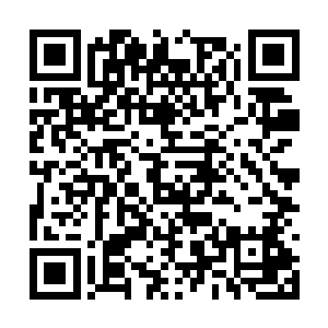 她们新专辑的主打歌已经被廖辽给一脚踢下榜单了二维码生成