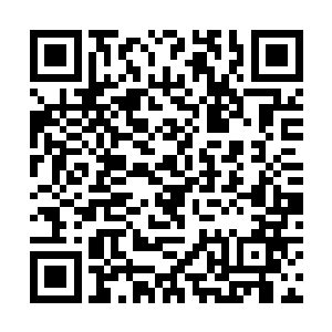 她体内几乎消耗殆尽的真气也在此刻疯狂地运转起来二维码生成