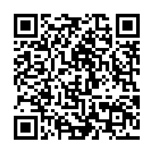 她再不济也能分辨得出占山为王人的派头和京中死士派头的不同二维码生成