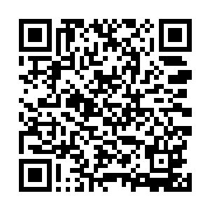 她原本还有些担心这无影罡风会对杨开疗伤造成什么影响二维码生成