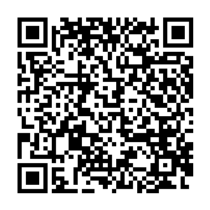 她去找乔什吃午饭的时候告诉他――整个旅馆现在充满了啤酒的麦香味二维码生成